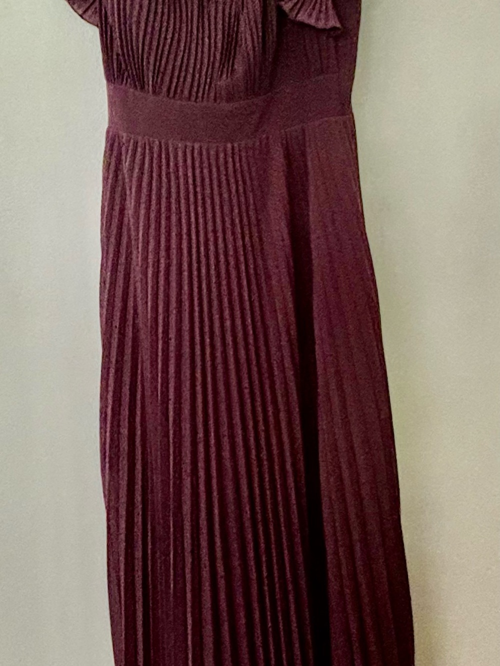 Dress the Population Plum Pleated Maxi Skirt